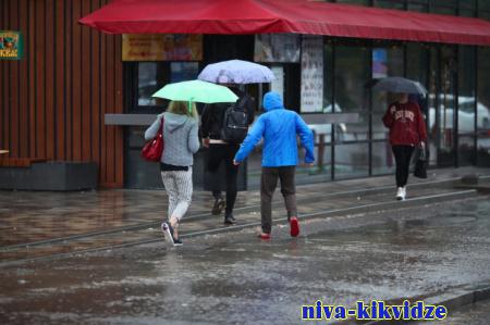 Волгоградскую область к концу недели накроют дожди при +15 градусах