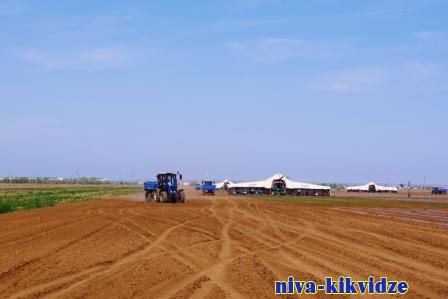 Волгоградские аграрии наращивают темп посевных работ