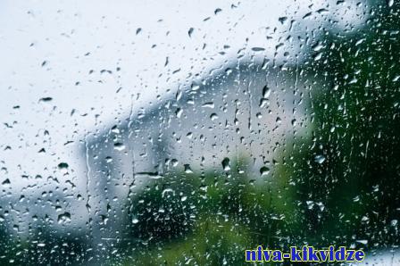 Кратковременные дожди при +15 ожидаются в Волгоградской области 10 мая