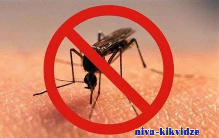 Как спастись от комаров?
