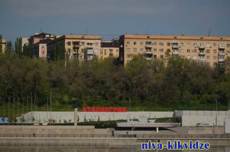 В мае в Волгограде опубликуют итоги опроса о переименовании в Сталинград