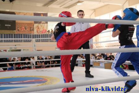 В Волгограде проходят Всероссийские соревнования по кикбоксингу