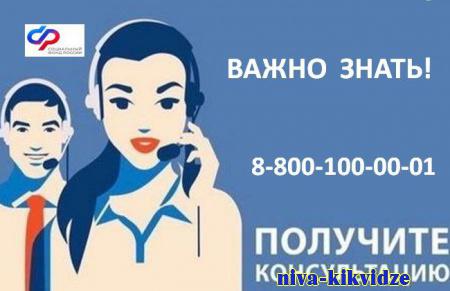 Социальный фонд по Волгоградской области обновил номер единого контакт-центра