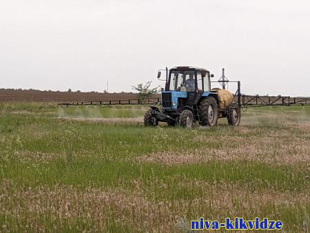 В Волгоградской области создают условия для своевременной обработки территорий от саранчи