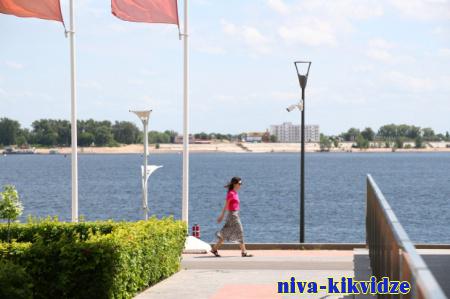 Жара до +39 градусов ожидается в Волгоградской области 15 июня