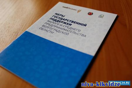 55 волгоградских ИП и самозанятых получили льготные займы на сумму 96,6 млн рублей