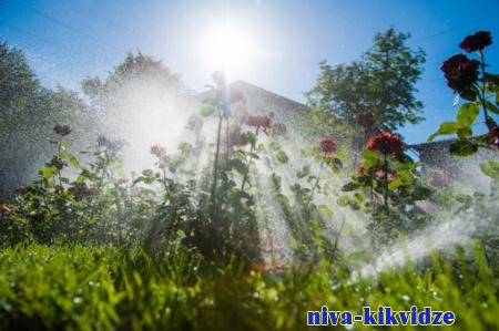 В Волгоградской области началась самая жаркая неделя лета