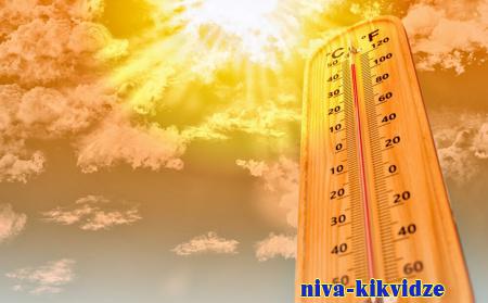 7,8 и 9 июля ожидается сильная жара. Как в это время избежать проблем со здоровьем рассказали специалисты МЧС