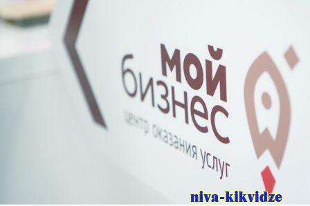Более 4,7 тыс. волгоградских предпринимателей получили поддержку центра «Мой бизнес»