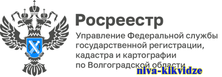 Представление услуг в электронном виде – приоритетное направление в деятельности Управления Росреестра по Волгоградской области