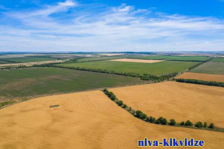 В хозяйствах волгоградского региона продолжается заготовка кормов