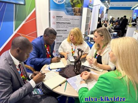 Делегация Волгоградской области принимает участие в саммите «Россия-Африка»