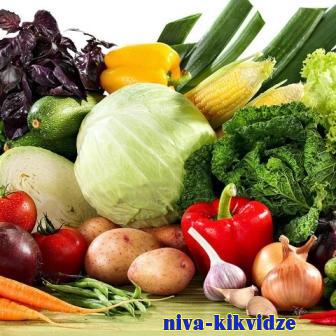 Здоровое питание. Чем полезны молодые овощи