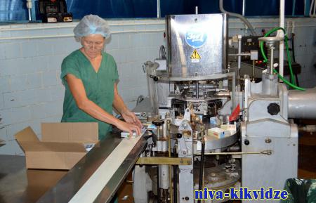 На Михайловском молочном комбинате станут оптимизировать процесс производства сыра чеддер