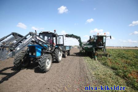 Губернатор Волгоградской области оценил инновационные подходы в овощеводстве