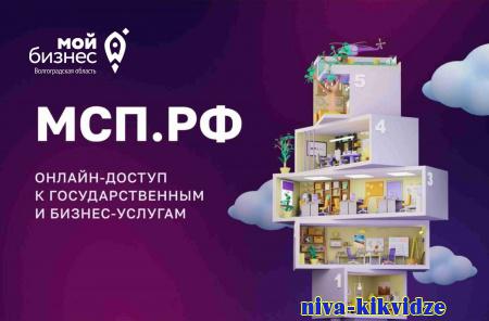 Более 300 заявок подали предприниматели Волгоградской области через платформу МСП.РФ