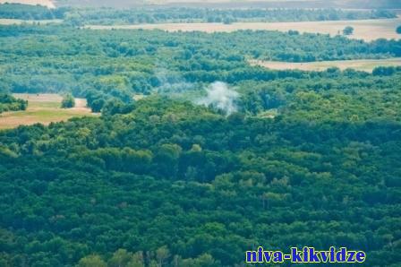 В Волгоградской области продлевают ограничение на посещение лесов