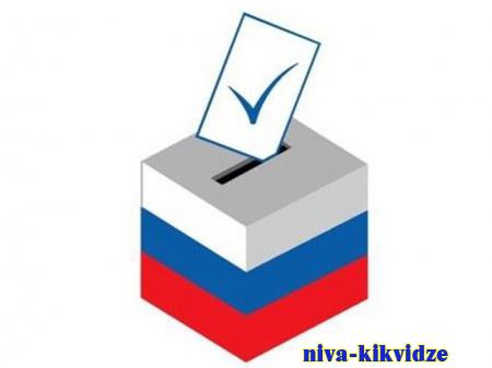 В Волгоградской области проверены все избирательные участки