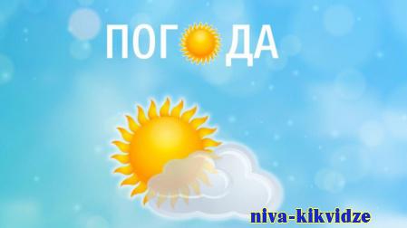 В Волгоградской области 22 сентября ожидается сухая погода при +27
