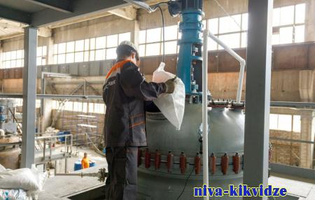 В Волгоградской области участники нацпроекта «Производительность труда» в среднем увеличили выработку на 25%