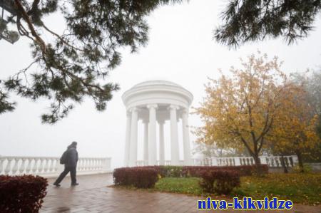 Дожди и туман при +15 ожидаются в Волгоградской области 6 ноября