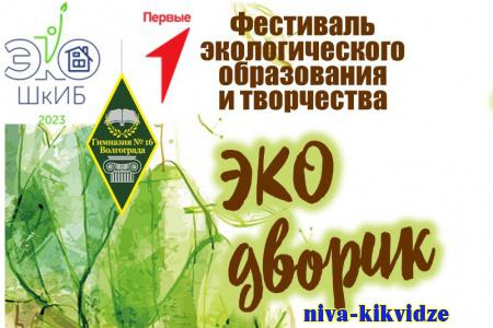Волгоградские школьники стали призерами федерального конкурса «Эко-ШкИБ»