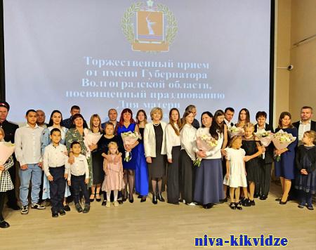 Многодетные жительницы Волгоградской области награждены почетным знаком губернатора «Материнская слава»