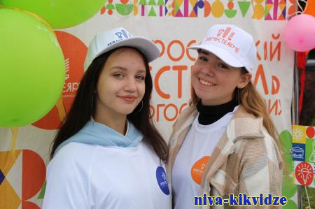 В День добровольца волгоградский регион проводит марафон добрых дел #МЫВМЕСТЕ