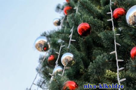 Конкурс на самую красивую елку проходит в Волгоградской области