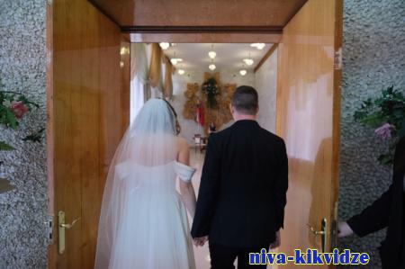 В Волгоградской области в 2023 году поженились почти 12 тысяч пар