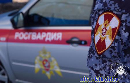 Росгвардейцы передали полицейским подозреваемых в имущественных преступлениях, совершенных в Волгоградской области
