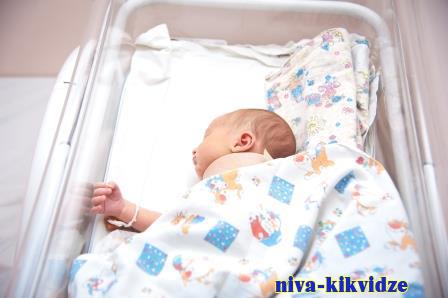 В Волгоградской области в 2023 году для малышей чаще всего выбирали имена Артем и София