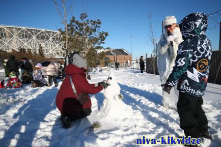 Накануне старого Нового года в Волгограде прошел парад снеговиков
