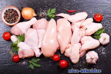 Здоровое питание. 7 удивительных фактов о курице и курином мясе