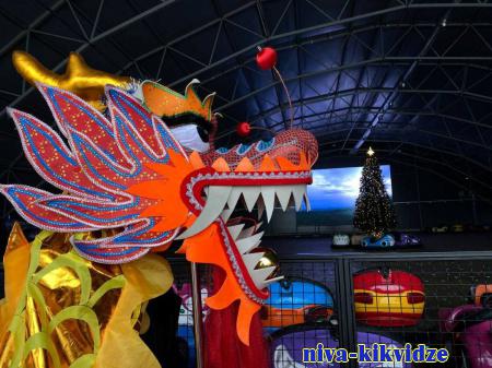 Волгоградцев приглашают отпраздновать китайский Новый год в Центральном парке культуры и отдыха всей семьей