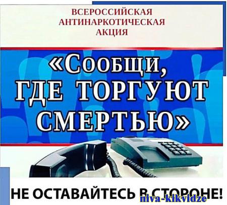 Общероссийская акция «Сообщи, где торгуют смертью» 2024