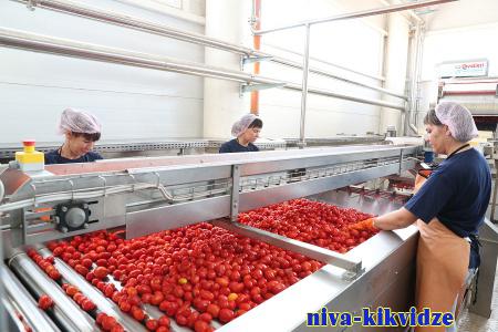 Волгоградские предприятия по переработке сельхозпродукции наращивают производственные мощности