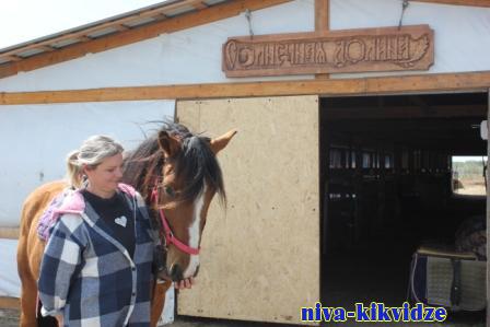 Волгоградка с господдержкой развивает конный реабилитационный центр