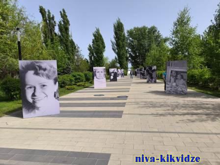 Уличную выставку редких фотографий легендарной Александры Пахмутовой организовали в Волгограде