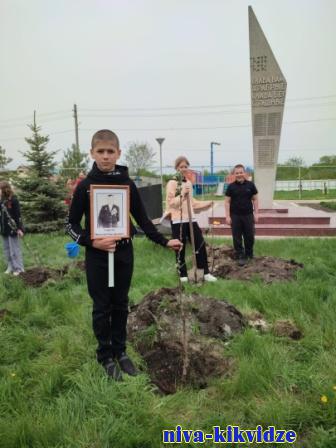 «Сад памяти» заложили в Калиновке