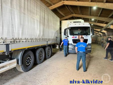 Волгоградские фермеры отправили в новые регионы РФ овощной груз Из Волгоградской области отправлено около 300 тонн свежих овощей