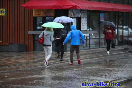 Синоптики прогнозируют дожди и заморозки в Волгоградской области 11 мая
