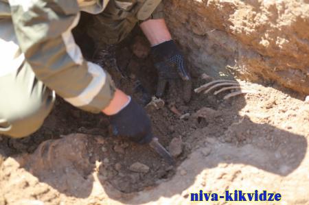 В Волгоградской области найдены останки 148 солдат