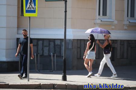 В Волгоградской области в начале рабочей недели прогнозируют 35-градусную жару