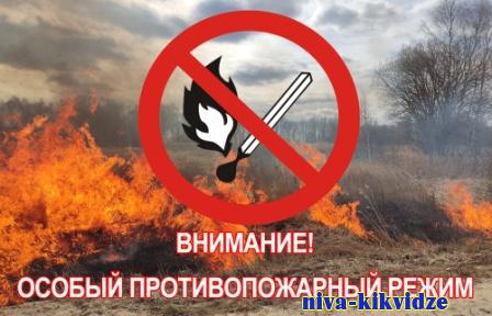 Жителям Киквидзенского района напоминают: в регионе действует особый противопожарный режим
