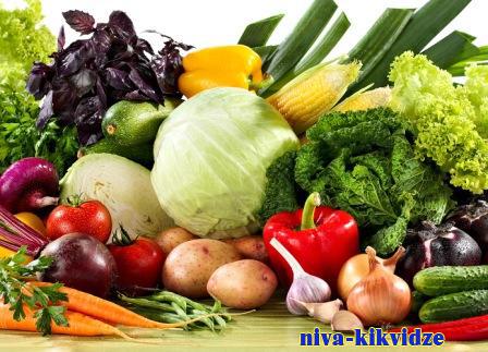 Здоровое питание. Как приучить детей есть овощи: семь шагов
