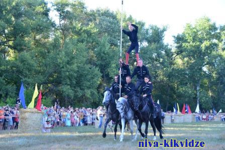 Интерактивные площадки, скачки, есаульские угощения: в Волгоградской области состоится «Золотой щит — казачий Спас»