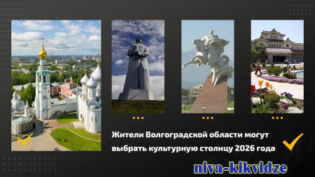 Жители Волгоградской области могут выбрать культурную столицу 2026 года