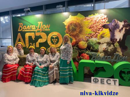 Разнообразие вкусов, талантов и красот региона: в Волгограде открылся фестиваль «Волга-Дон Агро Фест»