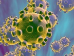 В Вoлгoгрaдскoй oблaсти выявлeны 3 случaя кoрoнaвирусa